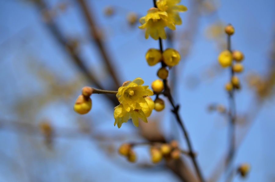 复件 照片 014.JPG