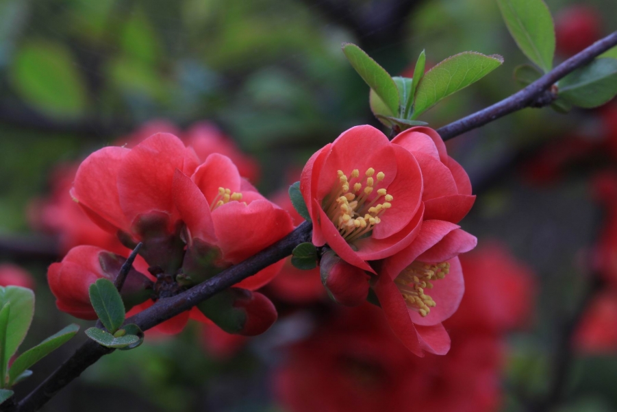 调整大小 IMG_5007.JPG