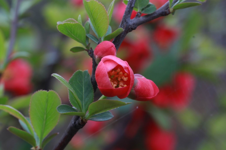 调整大小 IMG_5011.JPG