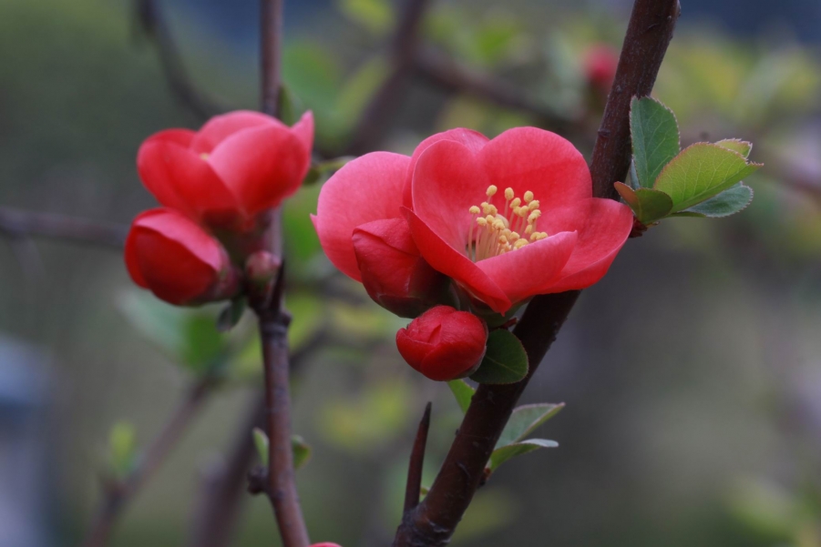 调整大小 IMG_5015.JPG