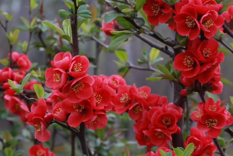 调整大小 IMG_5020.JPG