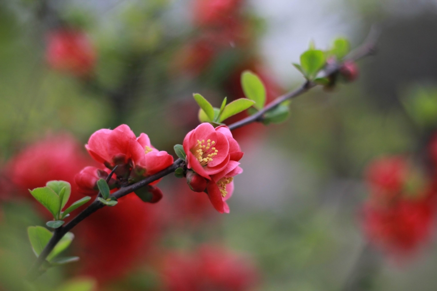 调整大小 IMG_5729.JPG