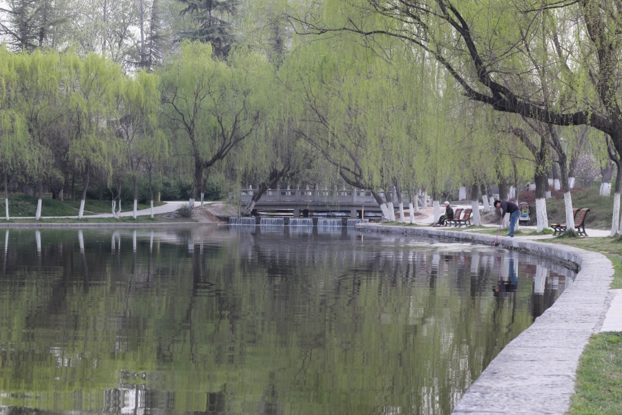 调整大小 IMG_5939.JPG