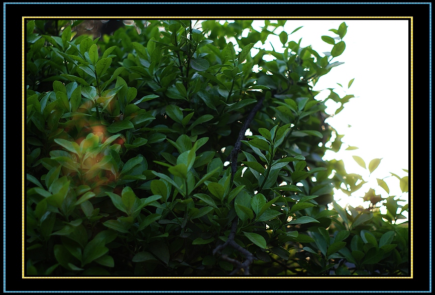 DSC04252.jpg