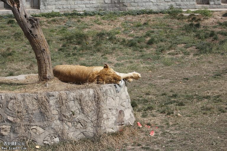 _MG_2701.JPG