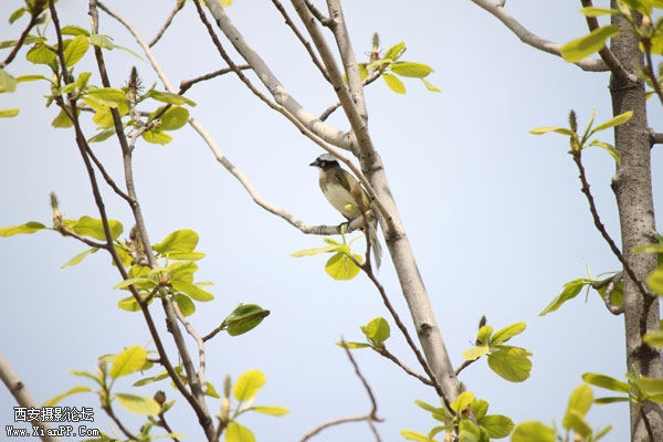 有小孩子的地方千万注意。。。烦死了。。。
