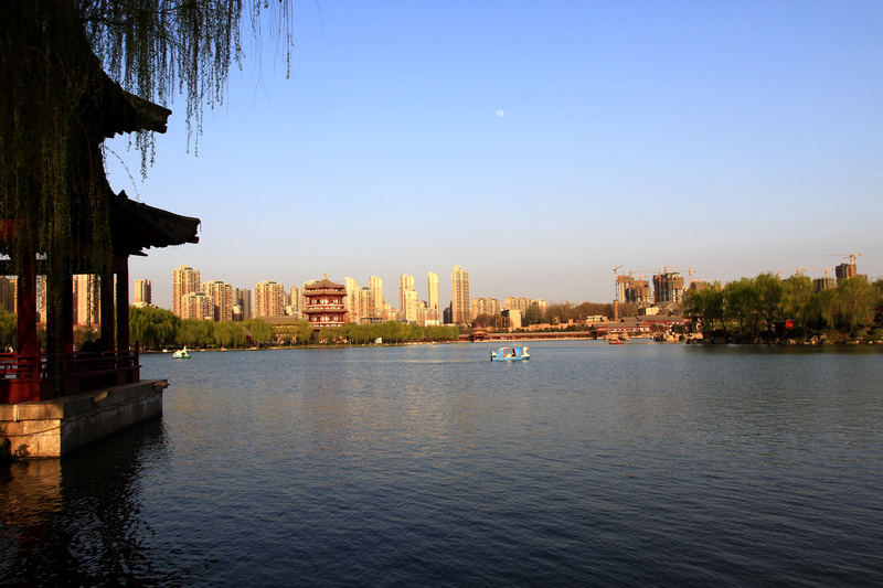 春光明媚芙蓉园 082.jpg