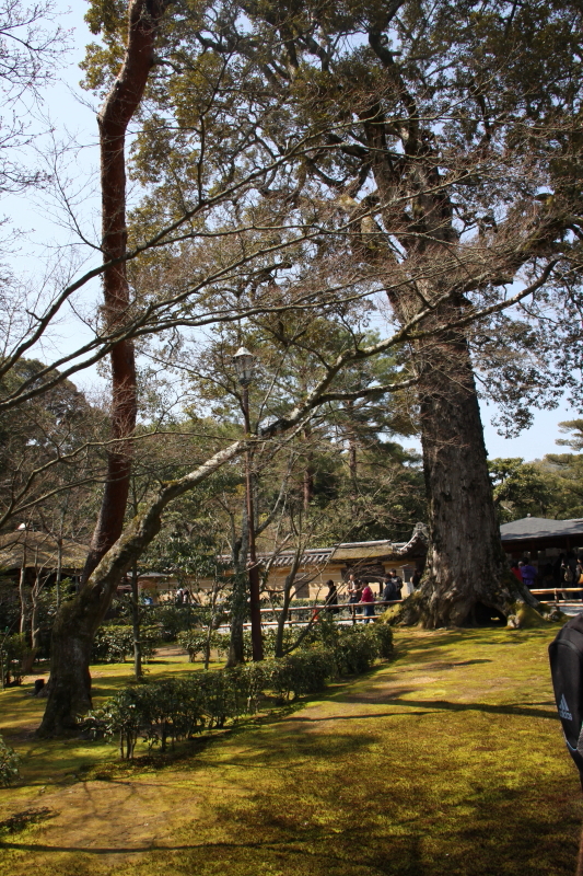 DPP_0111.JPG