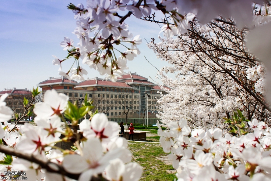 _MG_7202.jpg