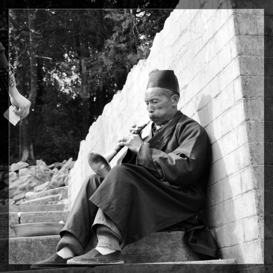 西乡午子山樱桃沟 198.JPG