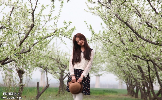 299C3864-E6B0-4E09-B6AB-2508A07BDF4C.jpg