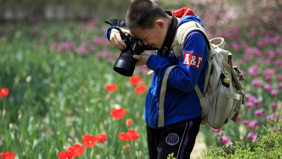 nEO_IMG_0407兴庆郁金香 老刘机子16.jpg