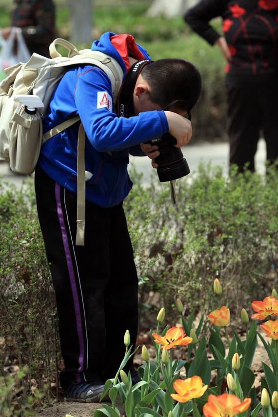 nEO_IMG_0407兴庆郁金香 老刘机子06.jpg