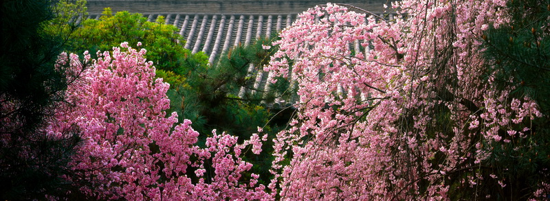 img020_调整大小.jpg