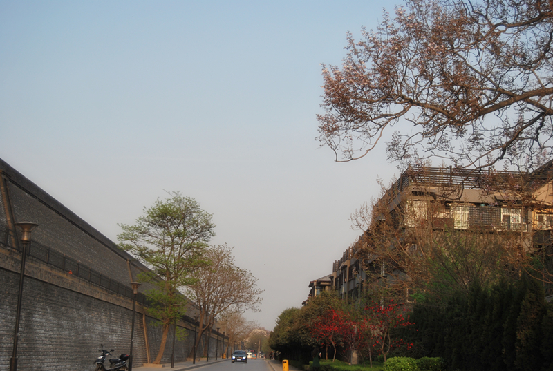 DSC_0906.jpg