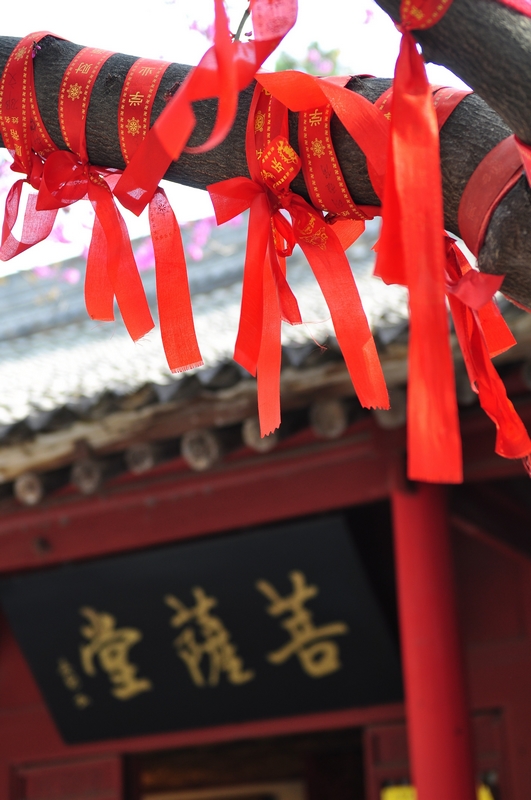 nEO_IMG_水陆庵 046.jpg