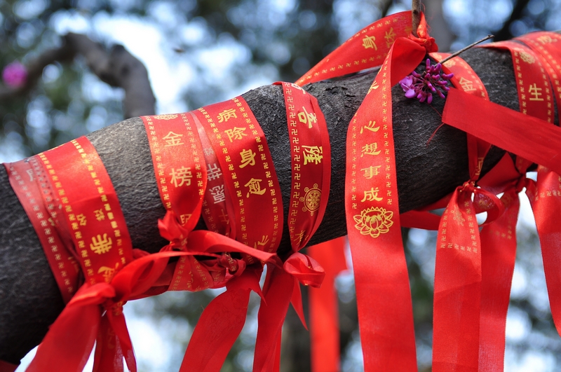 nEO_IMG_水陆庵 054.jpg