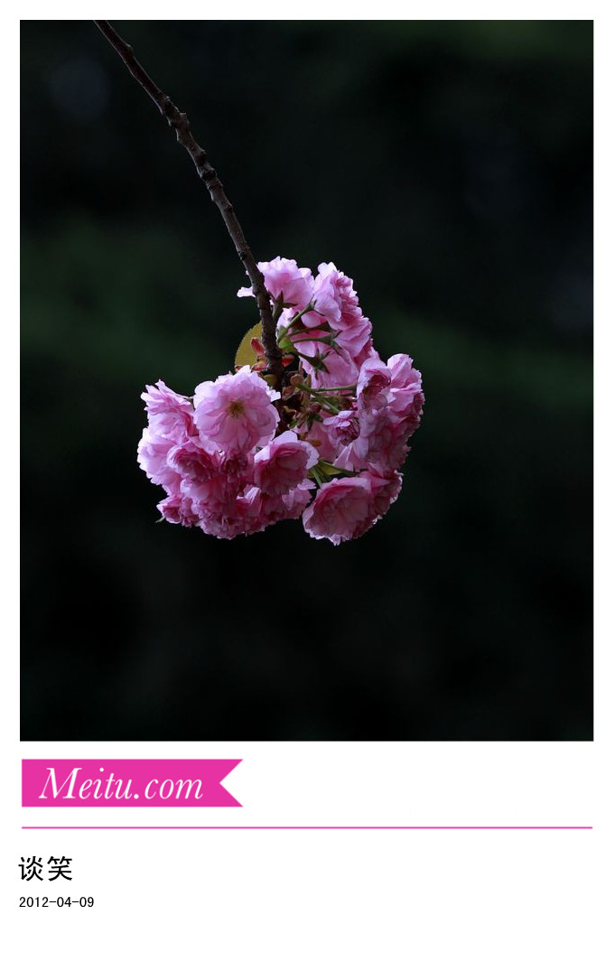 繁花世界 022A_副本.jpg