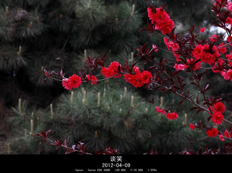 繁花世界 050A_副本.jpg