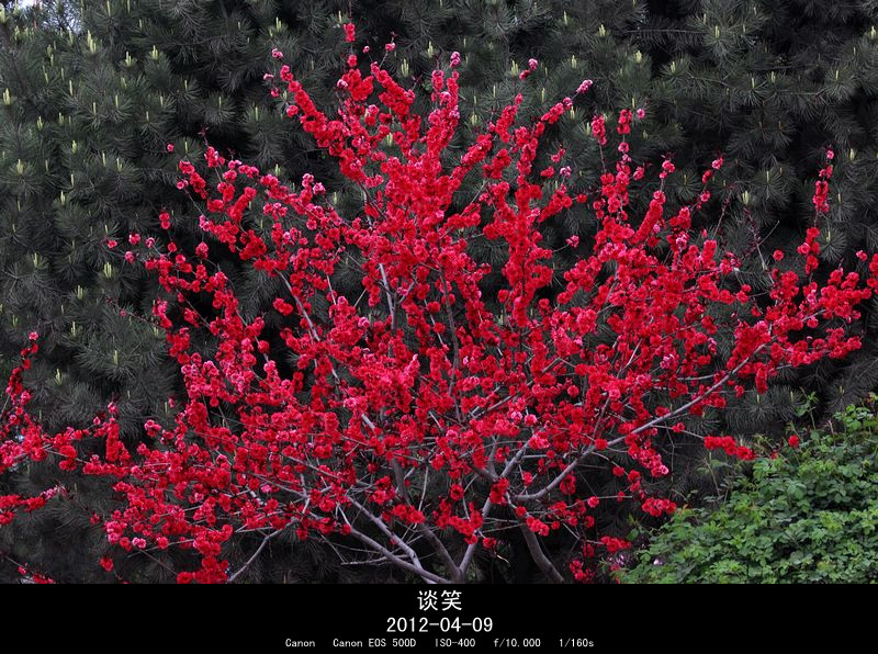 繁花世界 074A_副本.jpg