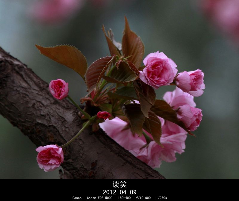 繁花世界 103A_副本.jpg