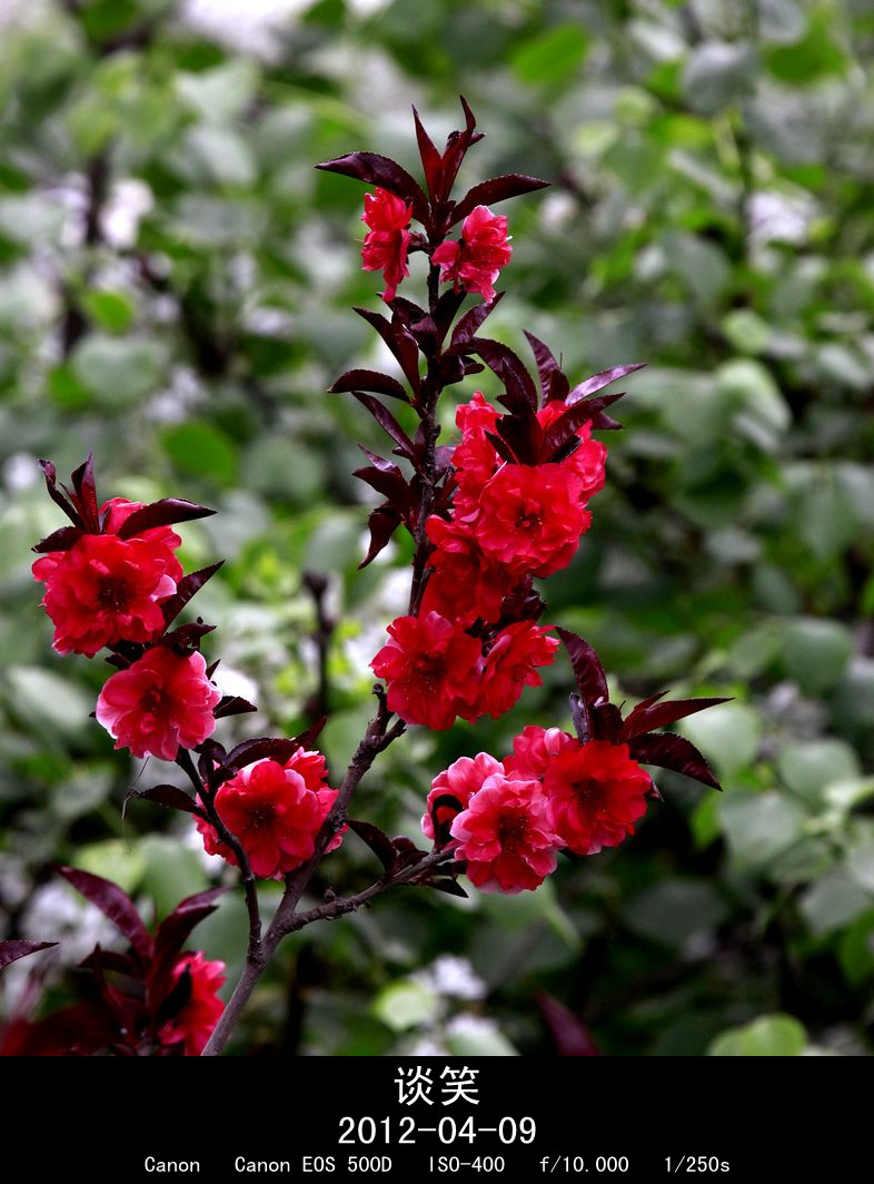 繁花世界 151A_副本.jpg