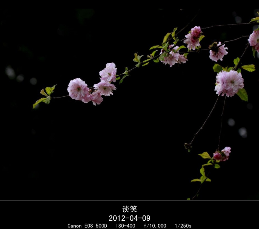 繁花世界 155A_副本.jpg