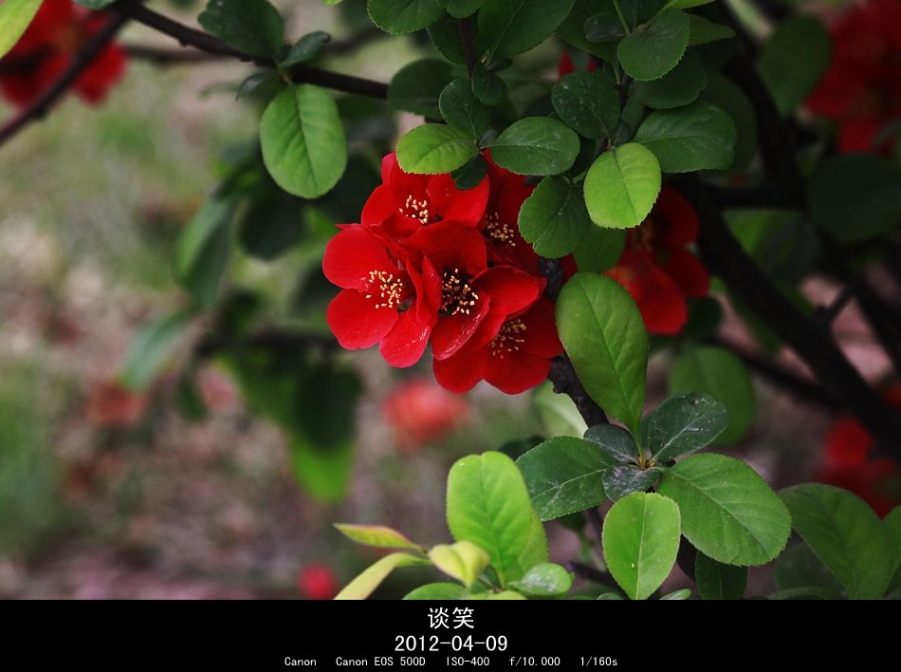 繁花世界 138A_副本.jpg