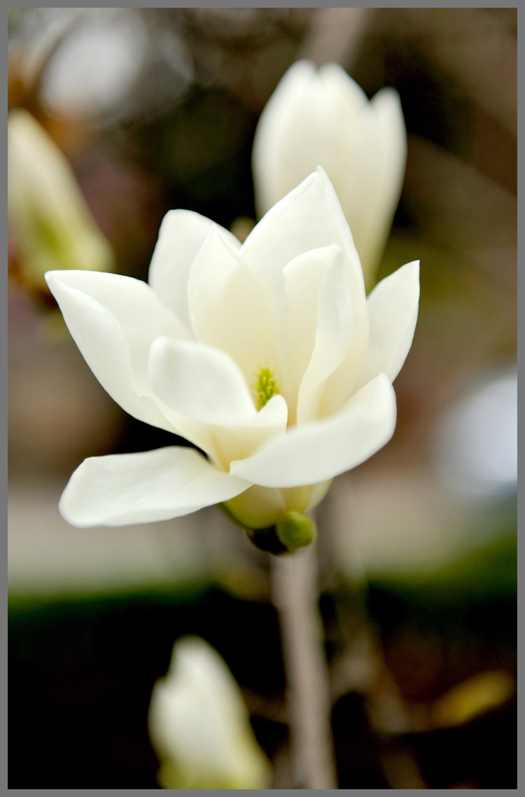 DSC_5904_01 副本.JPG