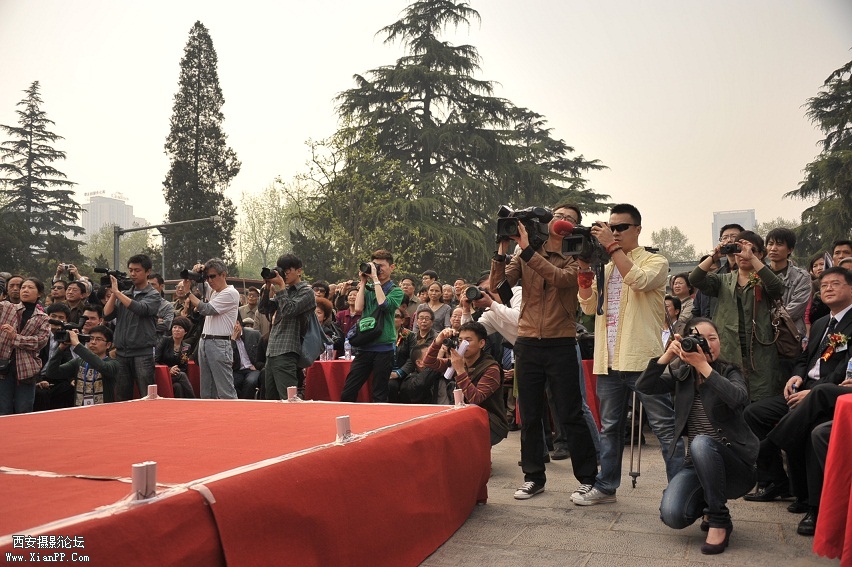 DSC_5533.JPG
