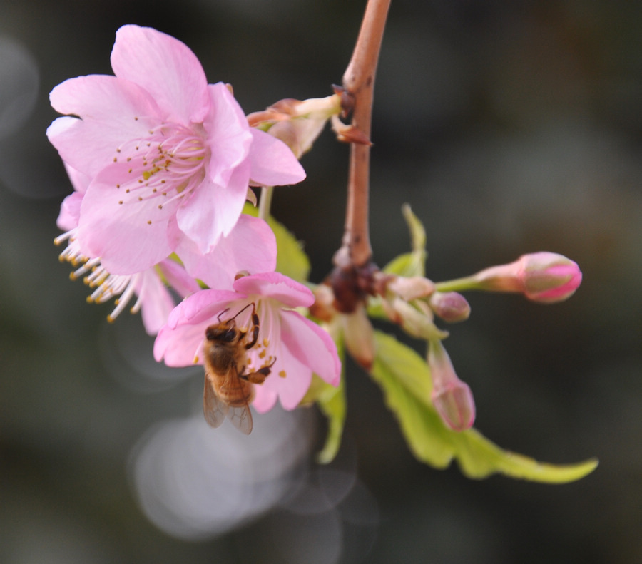 新建文件夹 101.jpg