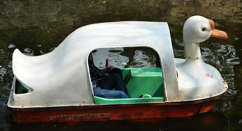 DSC_0027.jpg