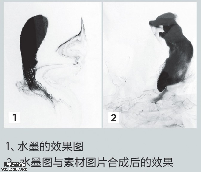 geit307-673x577.jpg