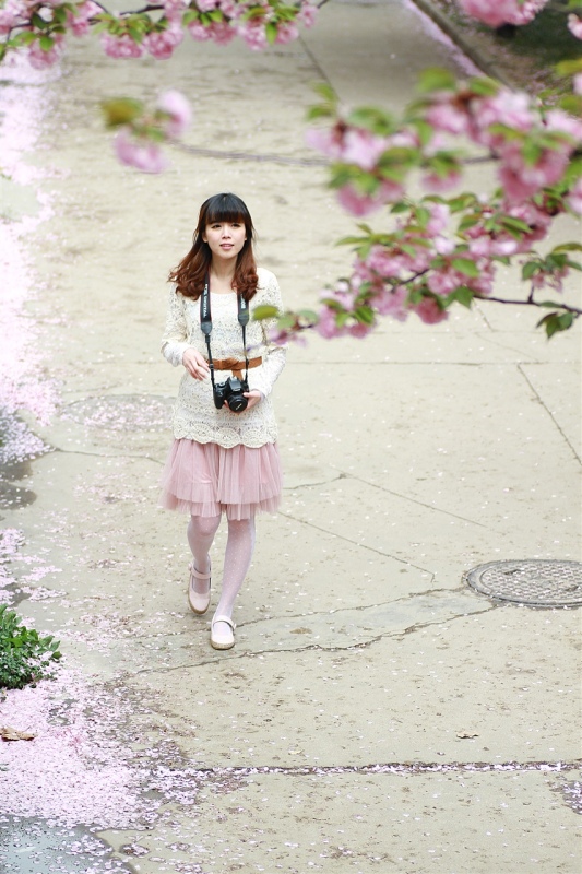 雨后七日樱 人像