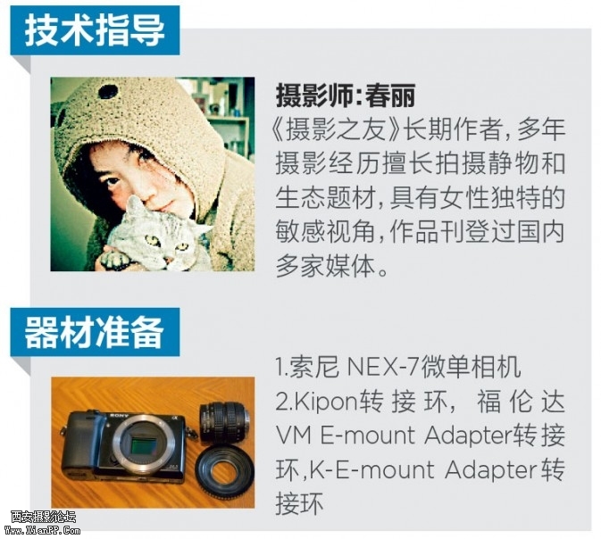 paimao09-673x604.jpg