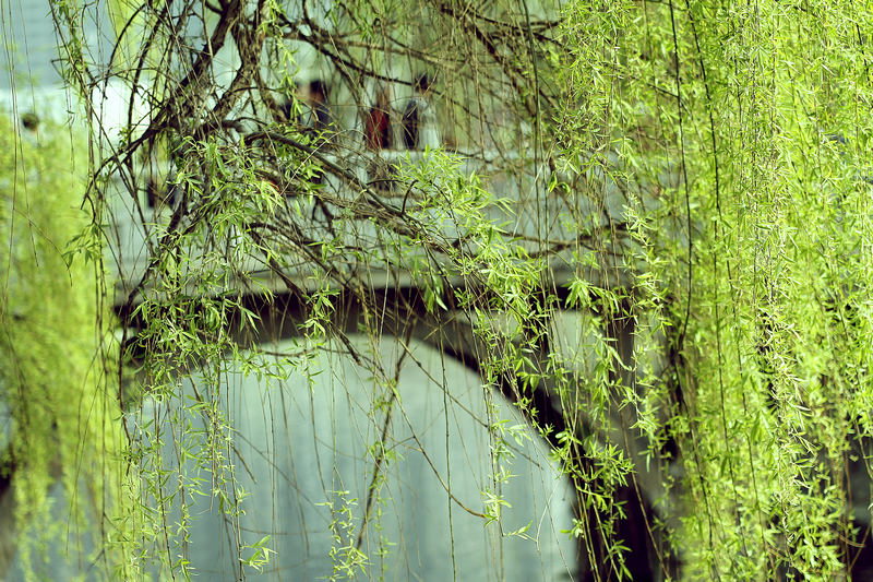 _MG_5462.jpg
