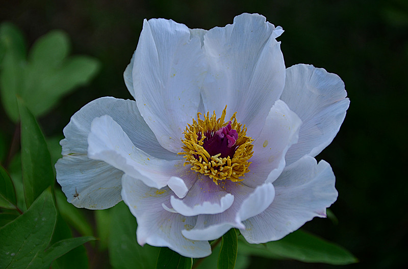 照片 012_副本.jpg