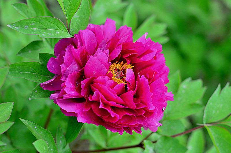 照片 144_副本.jpg