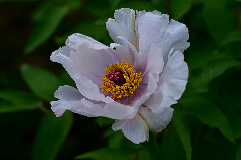 照片 148_副本.jpg