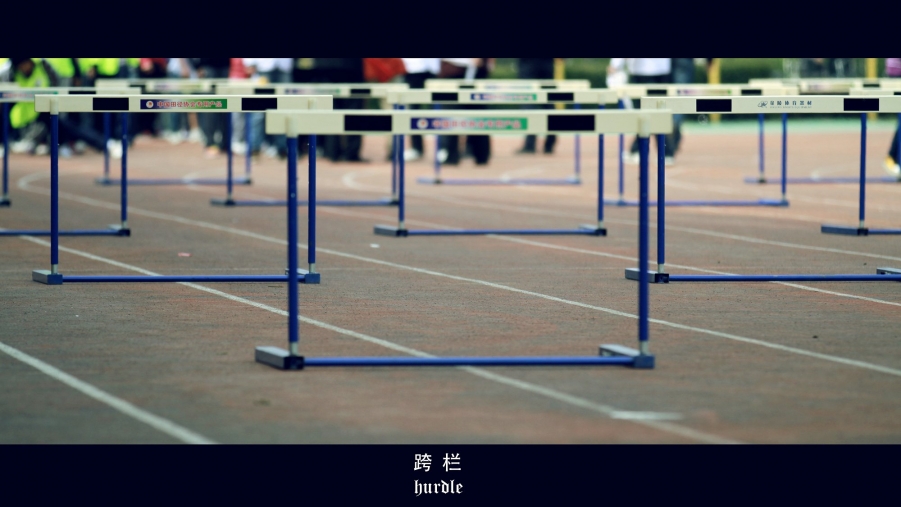 _MG_4856.jpg