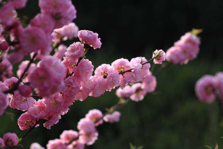 调整大小 IMG_5807.JPG