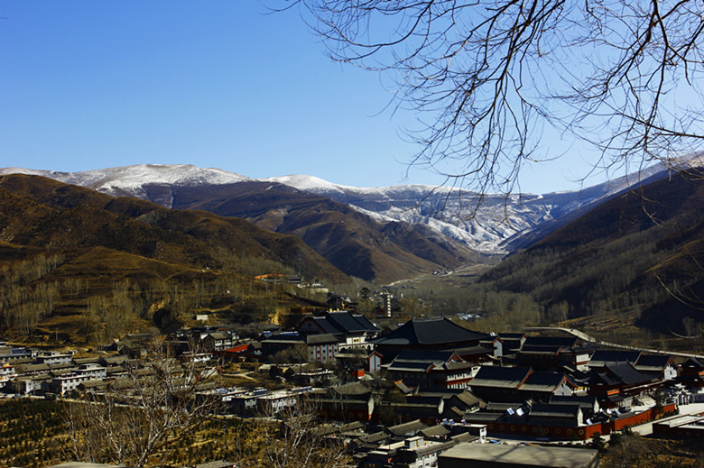 _MG_4185ps_副本.jpg