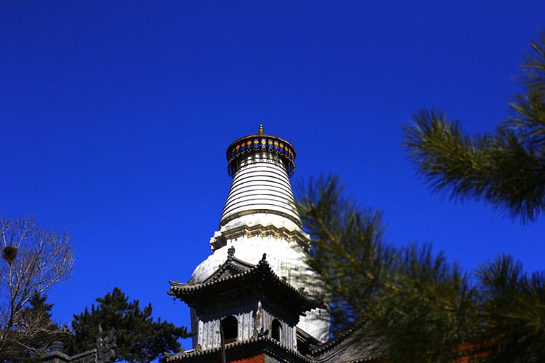 _MG_4245ps_副本.jpg