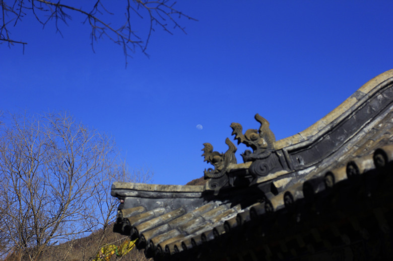 _MG_4326ps_副本.jpg