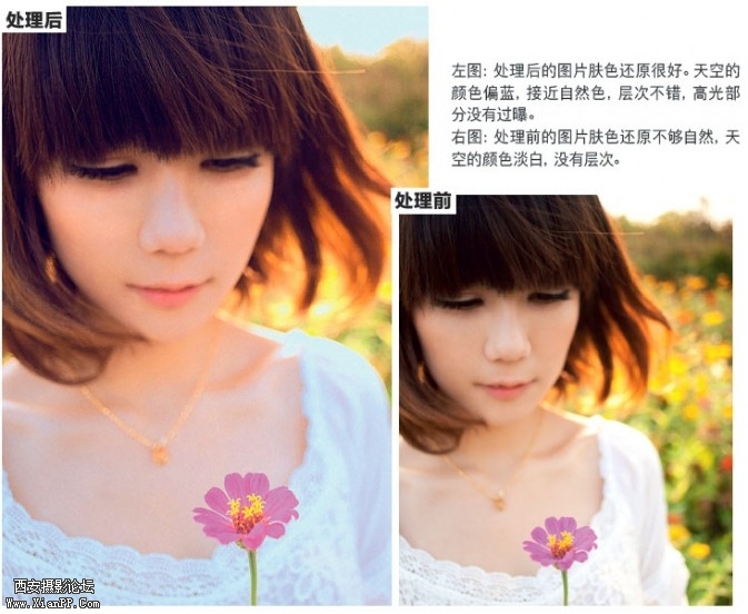 nigau05-673x552.jpg