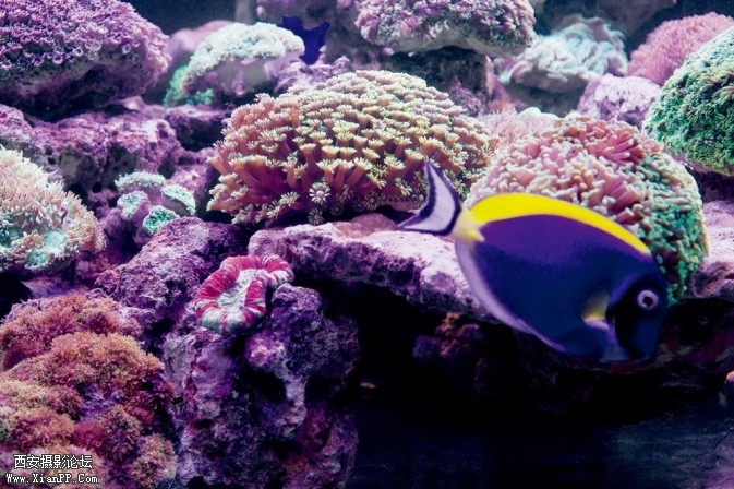 P112-4-673x448.jpg P112-4-673x448.jpg