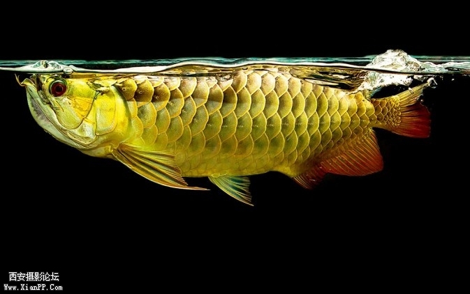 P113-41-673x422.jpg P113-41-673x422.jpg