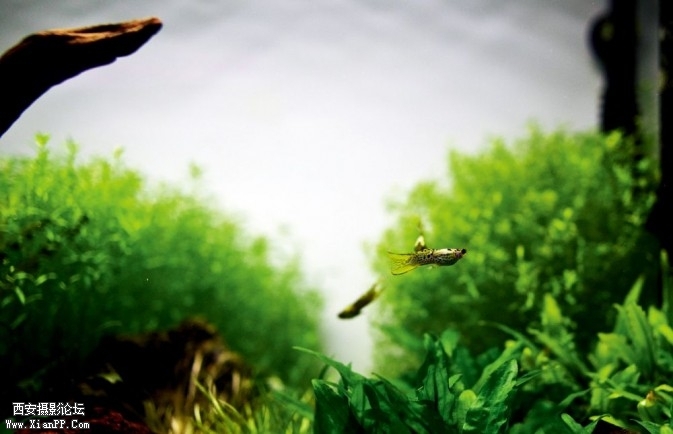 P114-51-673x434.jpg P114-51-673x434.jpg