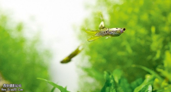 P114-41-673x364.jpg P114-41-673x364.jpg