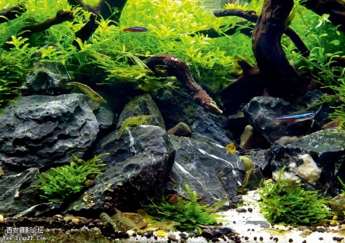 P114-31-673x475.jpg P114-31-673x475.jpg